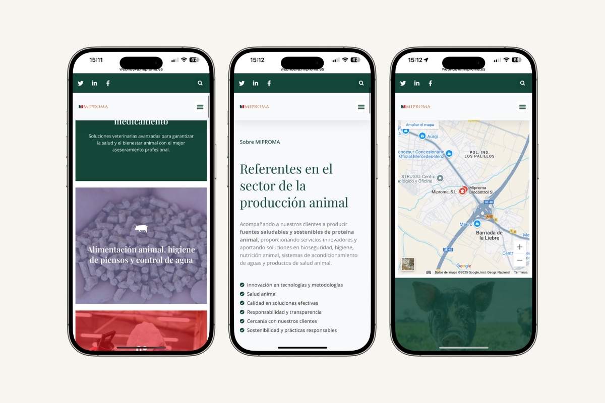 Diseño web corporativo para empresas Cometa Web