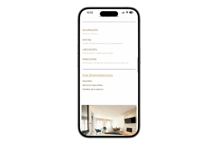 Caso – Diseño web Complejo La Serrería – Cometa Web 13